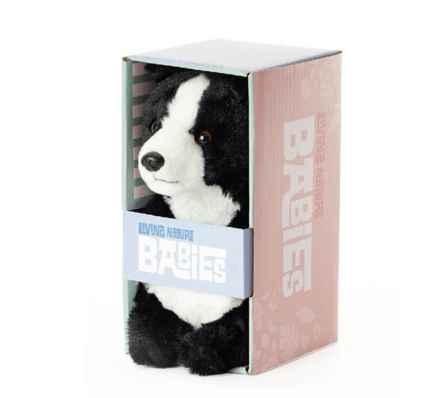 Knuffel Babies Border Collie 17 cm