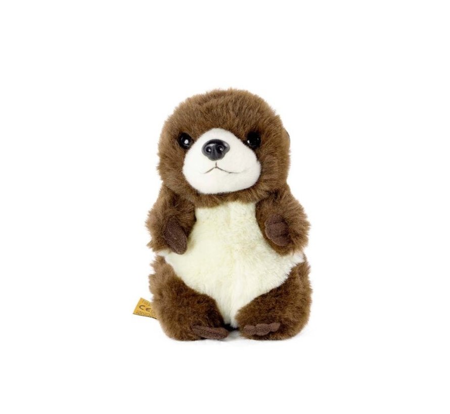 Knuffel Babies Otter Welp 17 cm