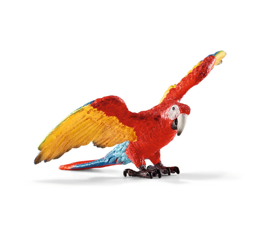 Macaw 14737