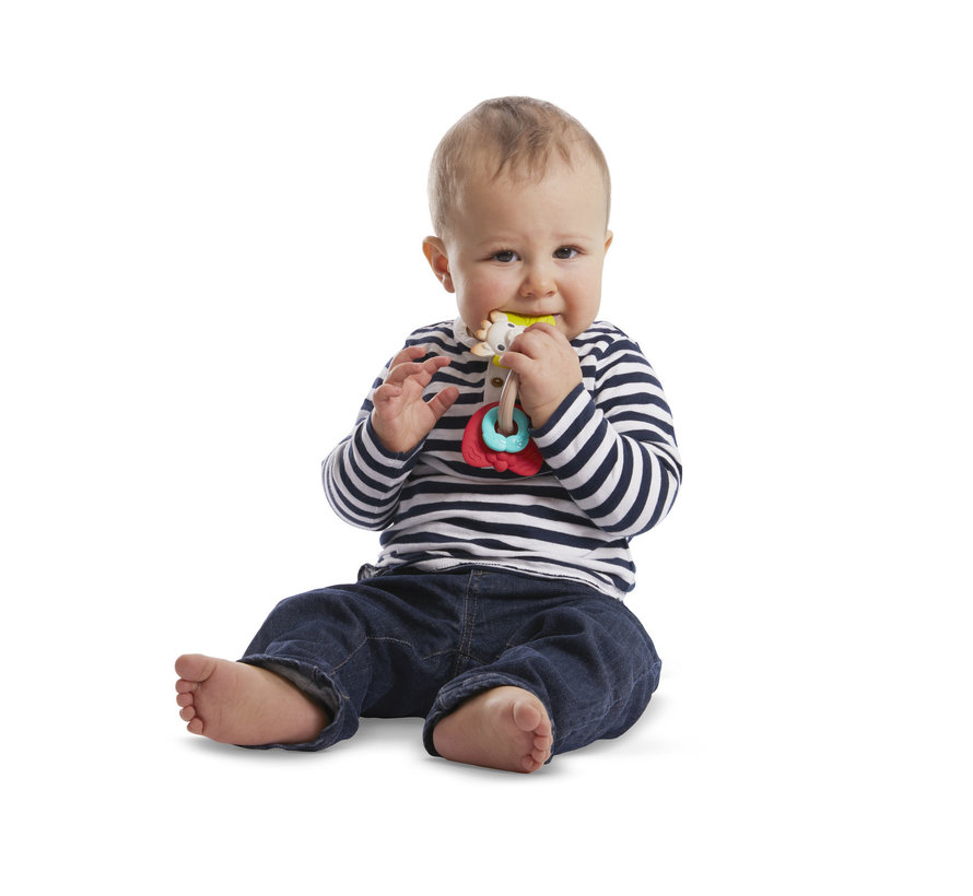 Natur'chew Rattle