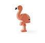 Flamingo Staand Een Been