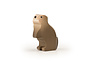 Marmot