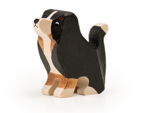 Trauffer Berner Sennenhond Puppy Zittend