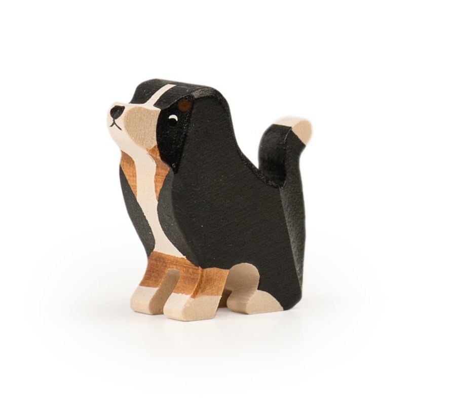 Berner Sennenhond Puppy Zittend