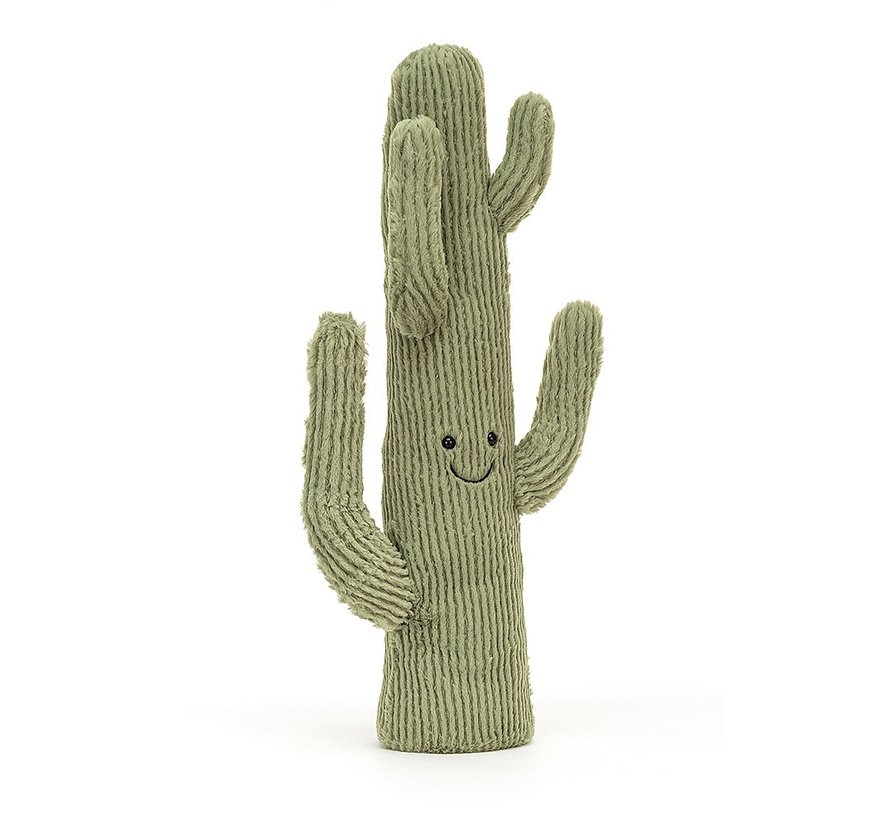 Amuseable Desert Cactus