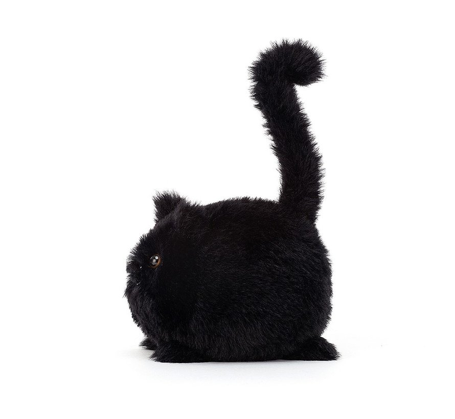 Kitten Caboodle Black