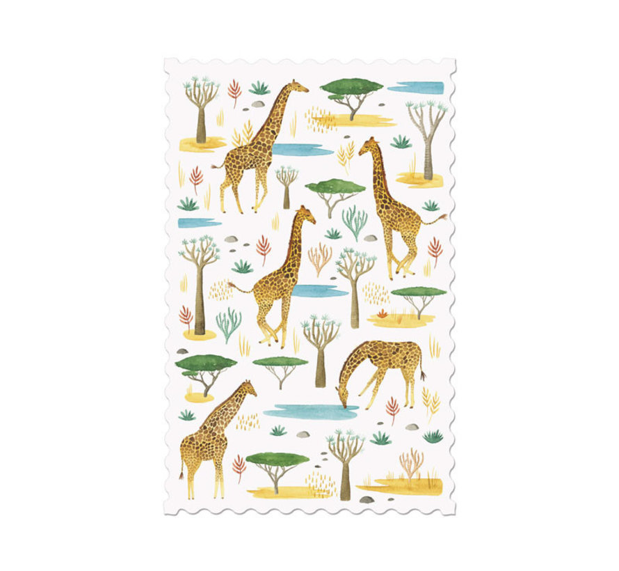 Postcard - Giraffes