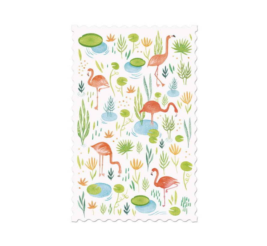 Postcard Flamingos