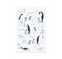 Postcard Penguins