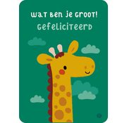 Bora Postkaart Jungle Wat ben je groot