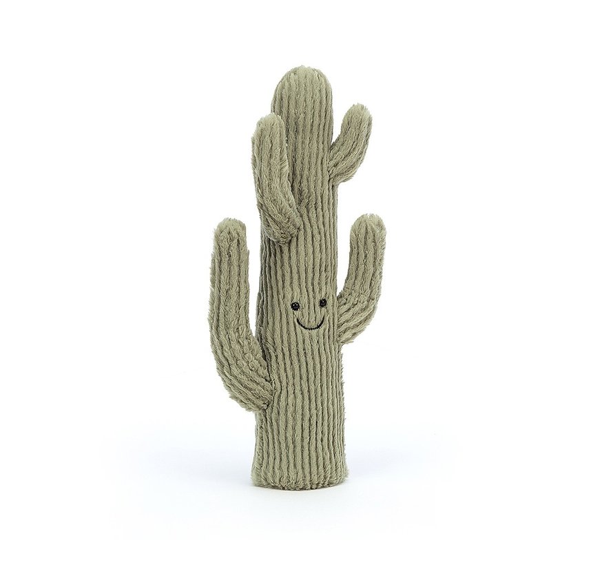 Amuseable Desert Cactus Small