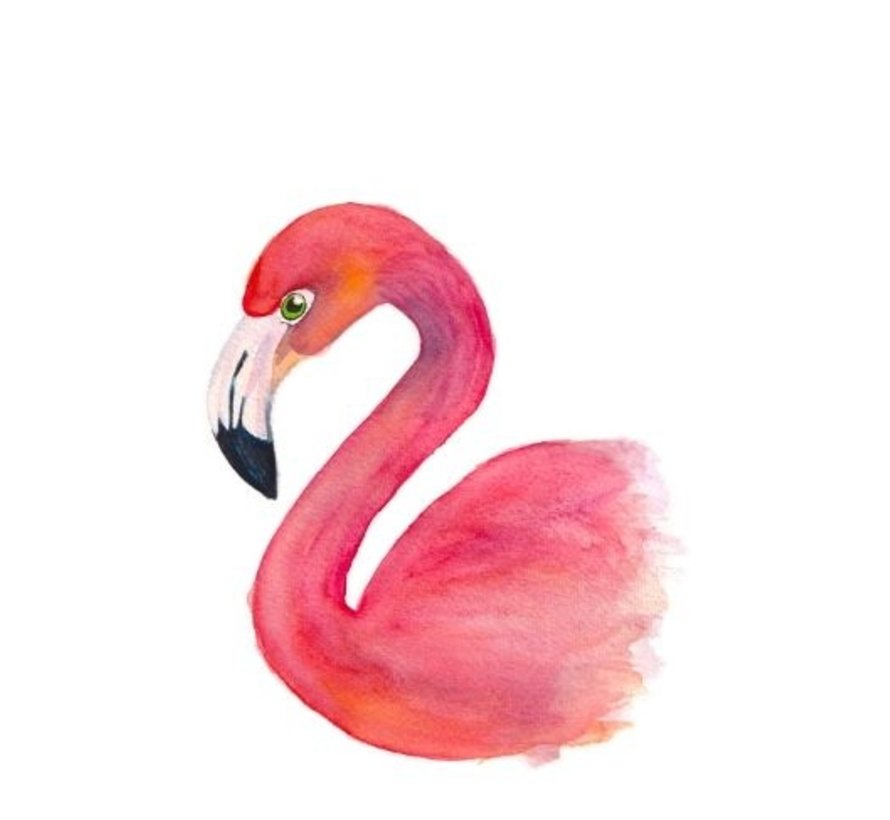 Postkaart Flamingo