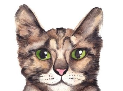 Fritsy Postkaart Kat