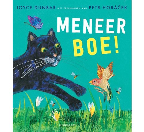 Lemniscaat Meneer Boe!