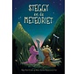 Steggy en de meteoriet