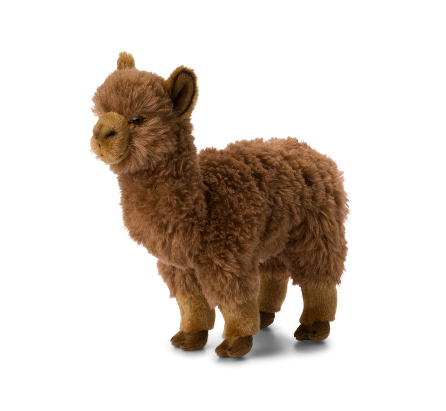 Knuffel Alpaca Bruin 31 cm