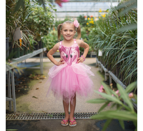 Great Pretenders Fancy Flamingo Dress & Headband