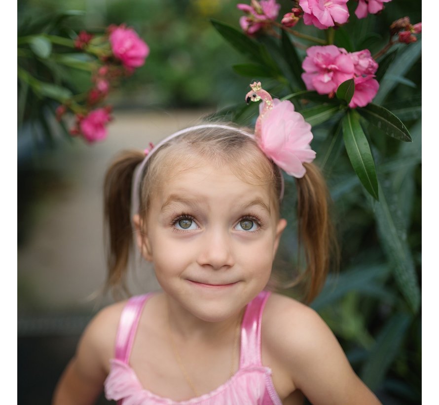 Fancy Flamingo Dress & Headband