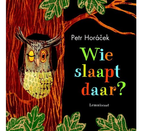 Lemniscaat Wie slaapt daar?