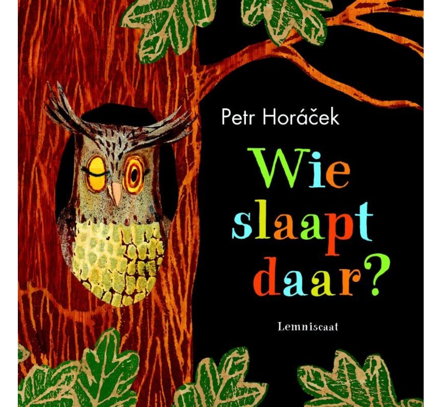 Wie slaapt daar?