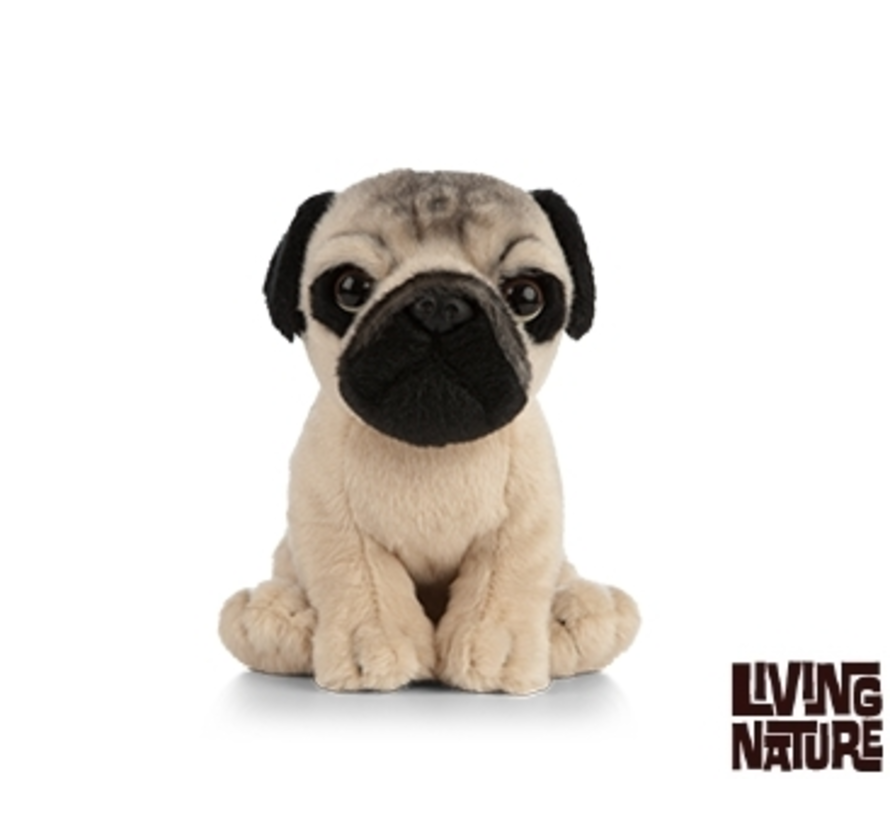 Stuffed Animal Pug Puppy