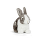 Stuffed Animal Grey Pet Rabbit