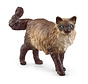 Ragdoll Cat 13940