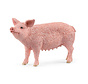 Pig 13933