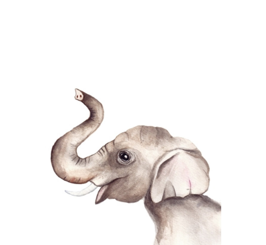 Poster Olifant