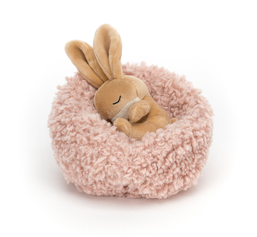 Hibernating Bunny