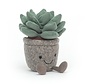 Knuffel Plant Silly Succulent Azulita