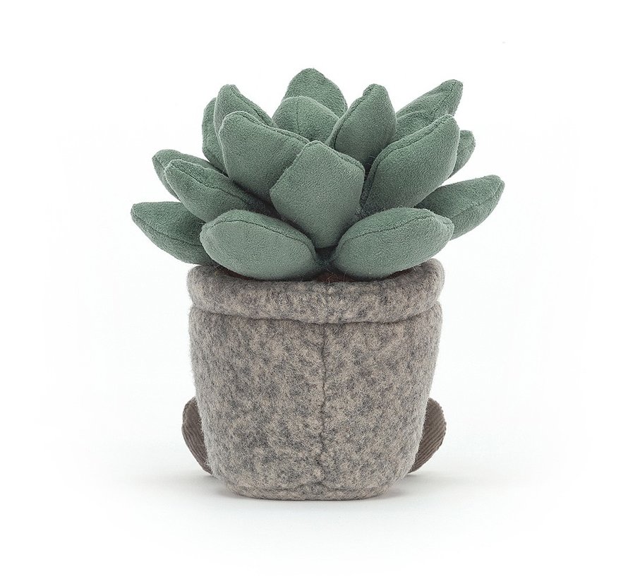 Knuffel Plant Silly Succulent Azulita