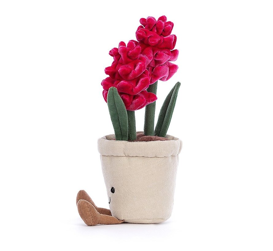 Amuseable Hyacinth