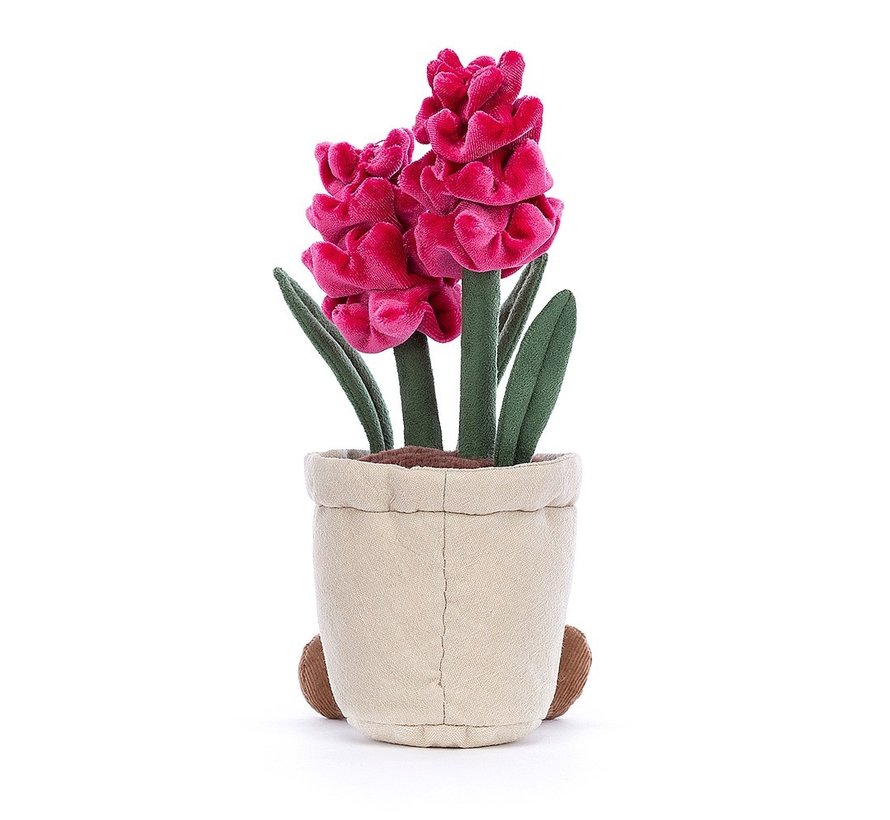 Amuseable Hyacinth