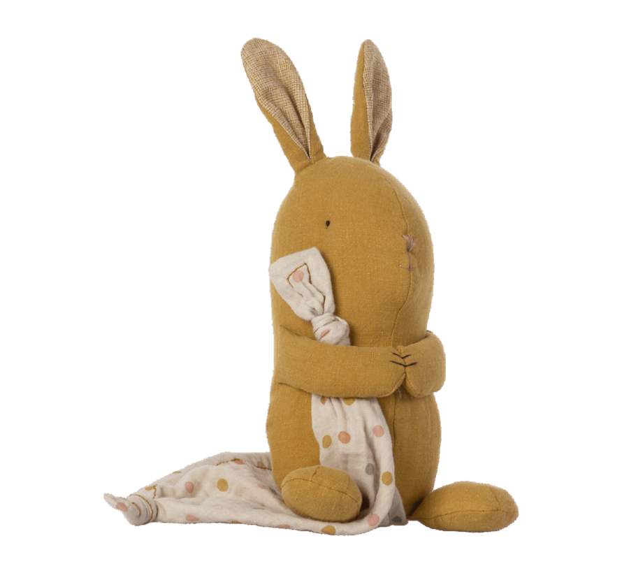Lullaby friends, Bunny