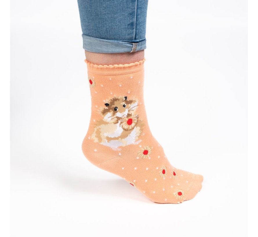 Hamster Sock - Diet Starts Tomorrow