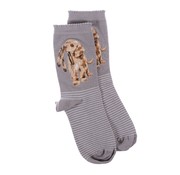 Wrendale Designs Dog Sock - Hopeful