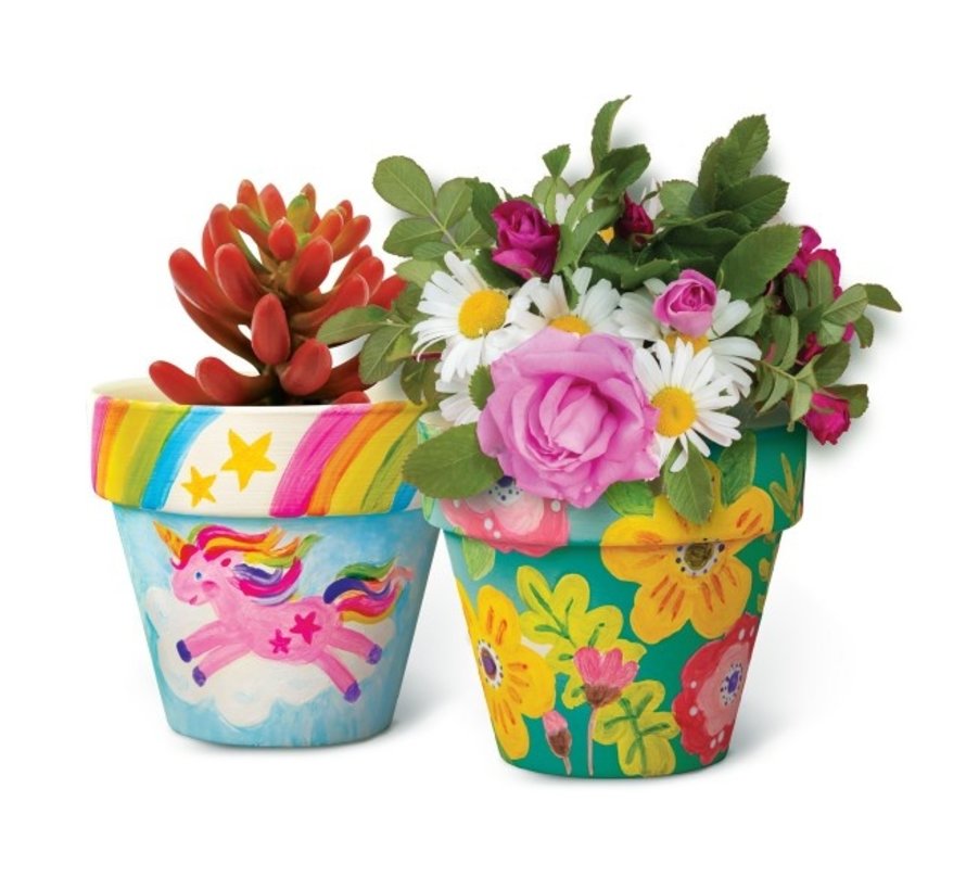 Paint your own Terracotta Flower Pots