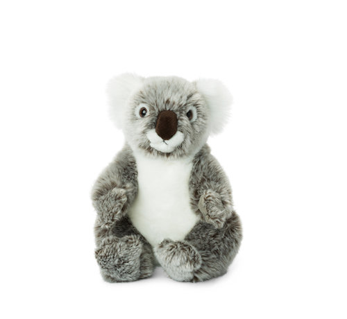 WWF Knuffel Koala 22cm