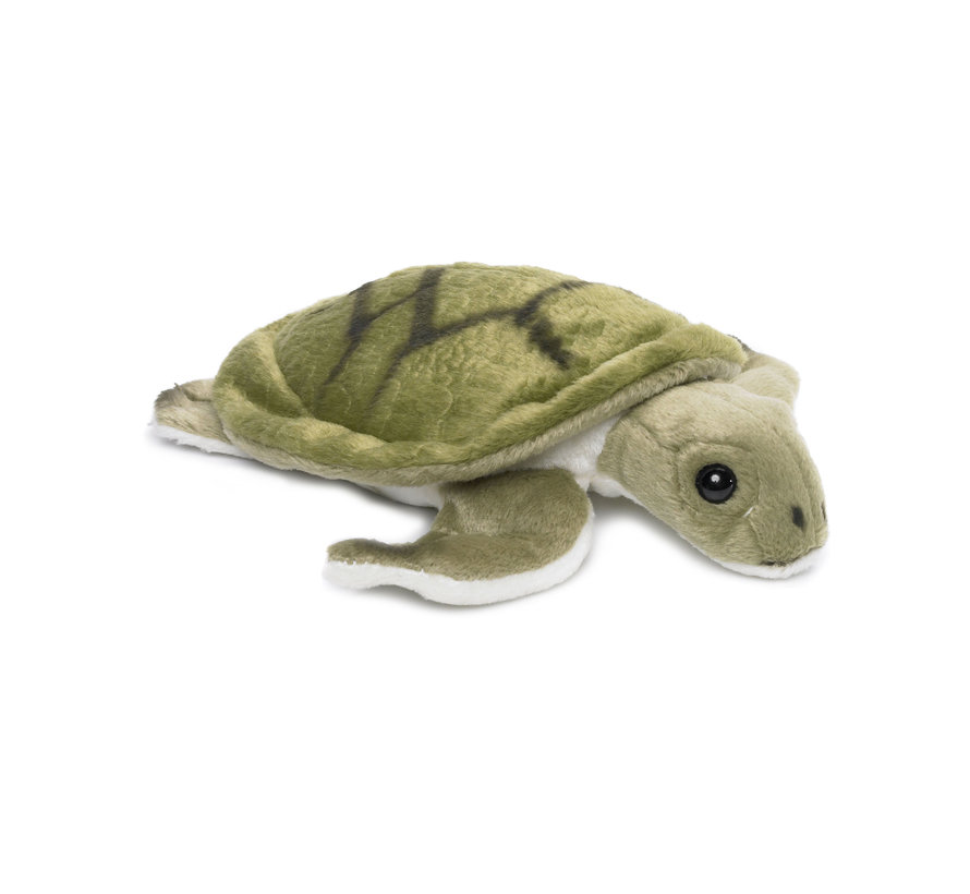 Knuffel Schildpad 18 cm