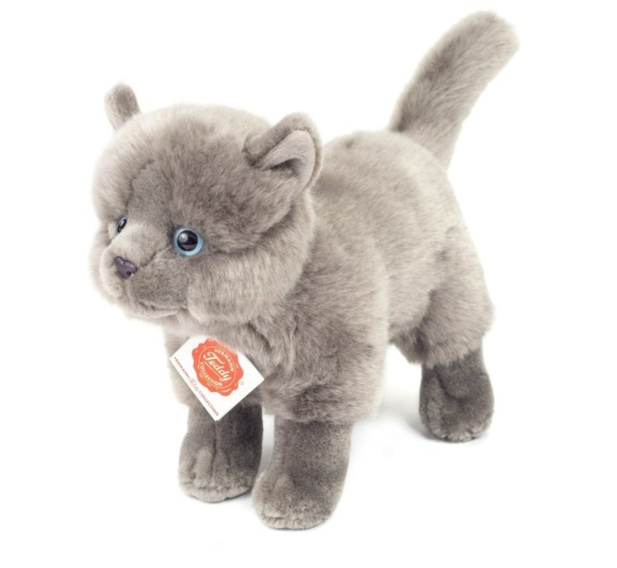 Knuffel Kat Kartuizer Staand 20cm