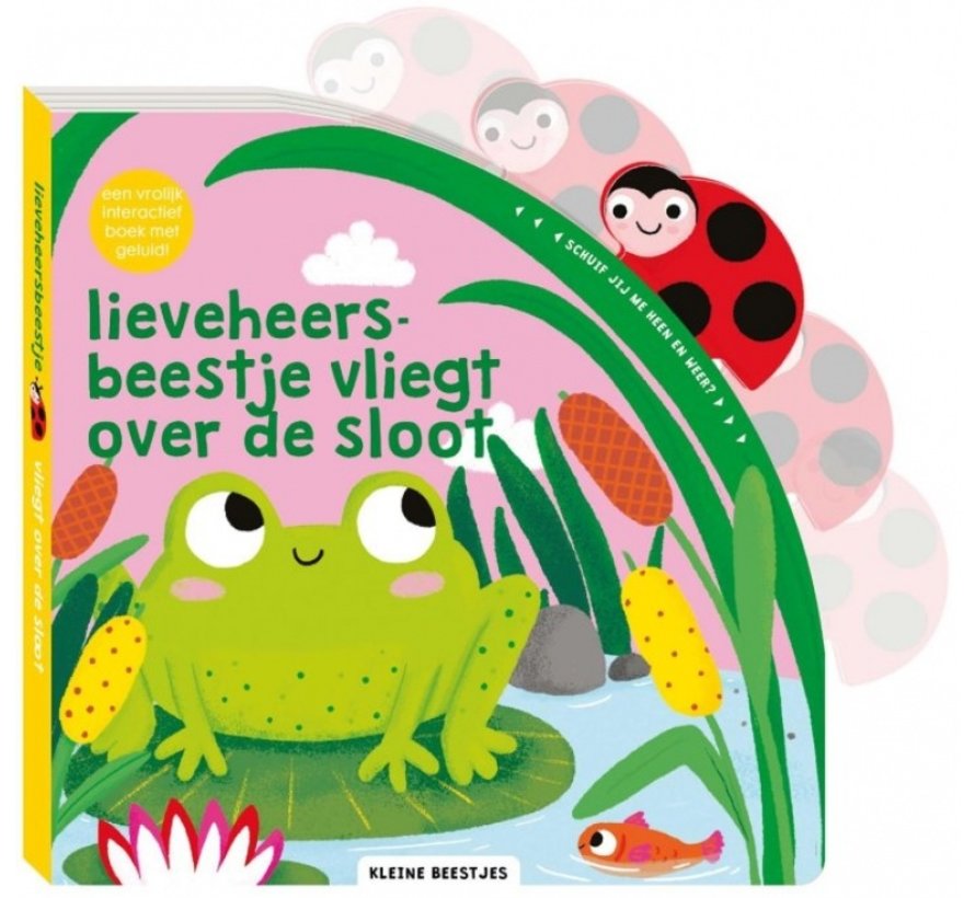 Lieveheersbeestje vliegt over de sloot