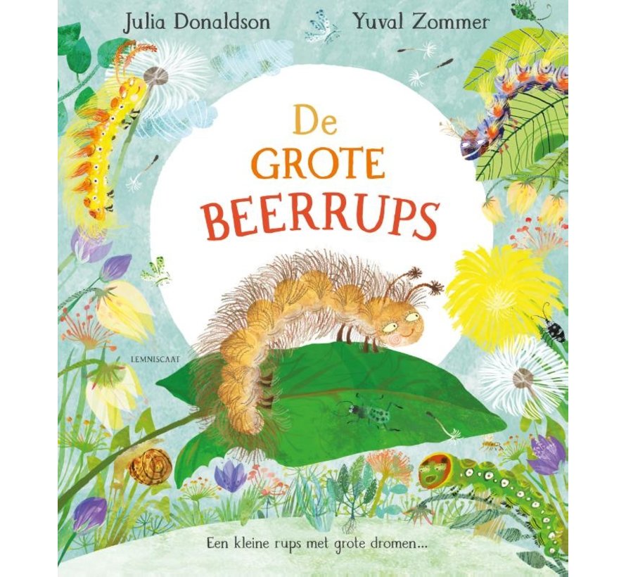 De grote Beerrups