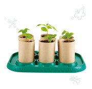 Hape Growing Gardners Green house