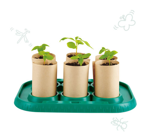 Hape Mini Kas Growing Gardners Green house