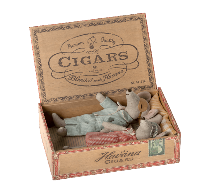 Mum and dad mice in cigarbox