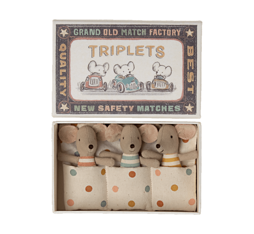 Triplets, Baby mice in matchbox