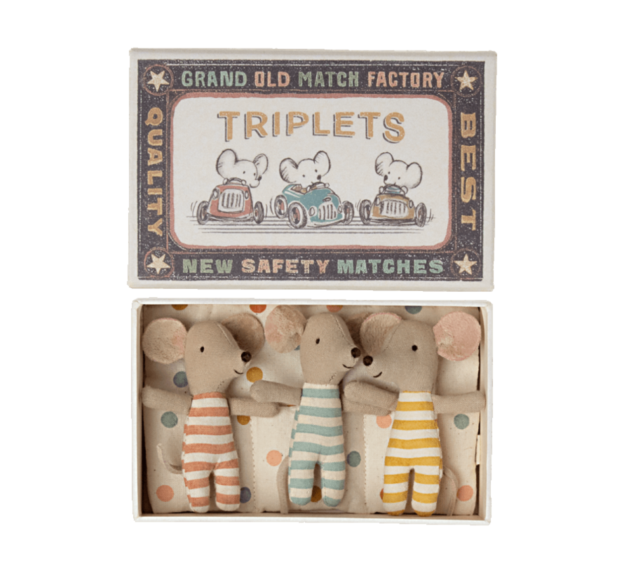 Triplets, Baby mice in matchbox