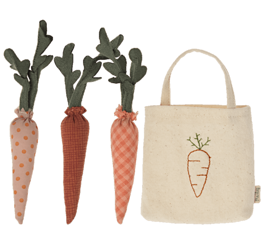 Carrots in shopping bag