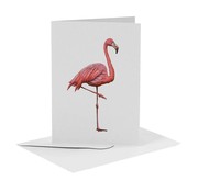 MiesToGo Wenskaart Flamingo